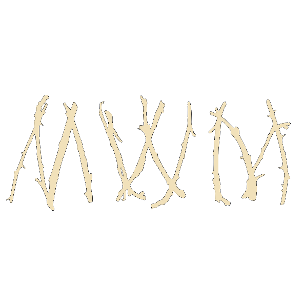 The Museum Of Witchcraft And Magic