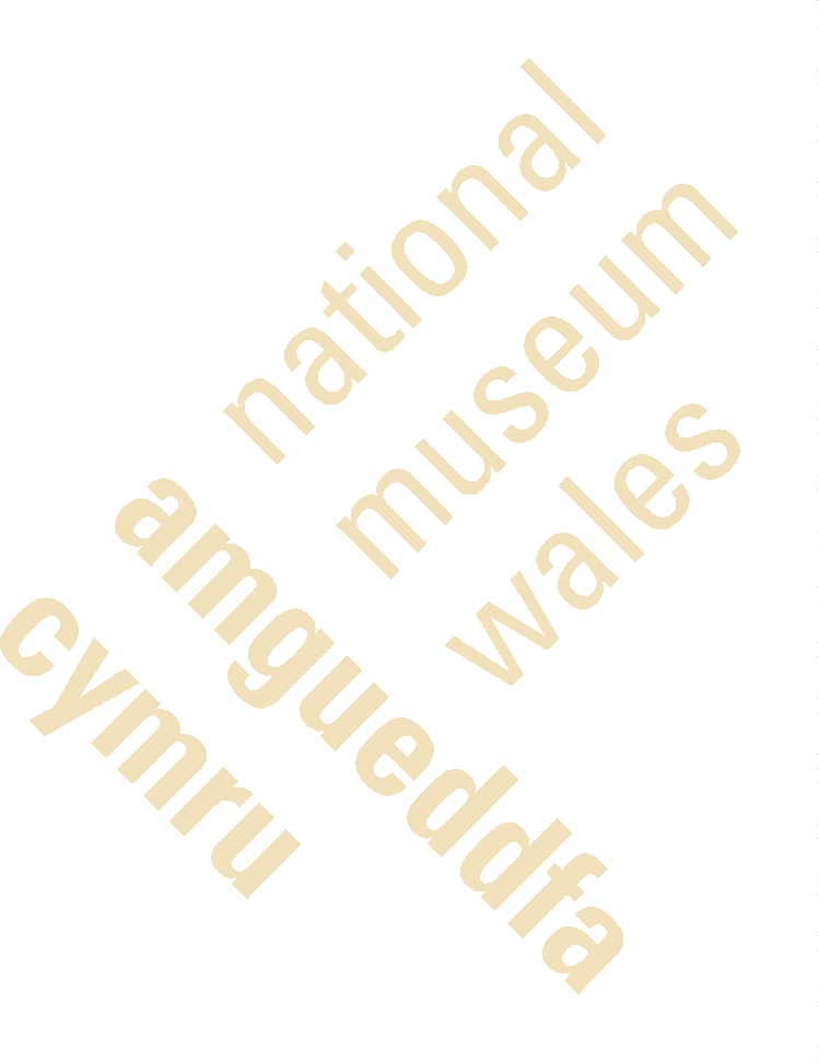 National Museum Wales